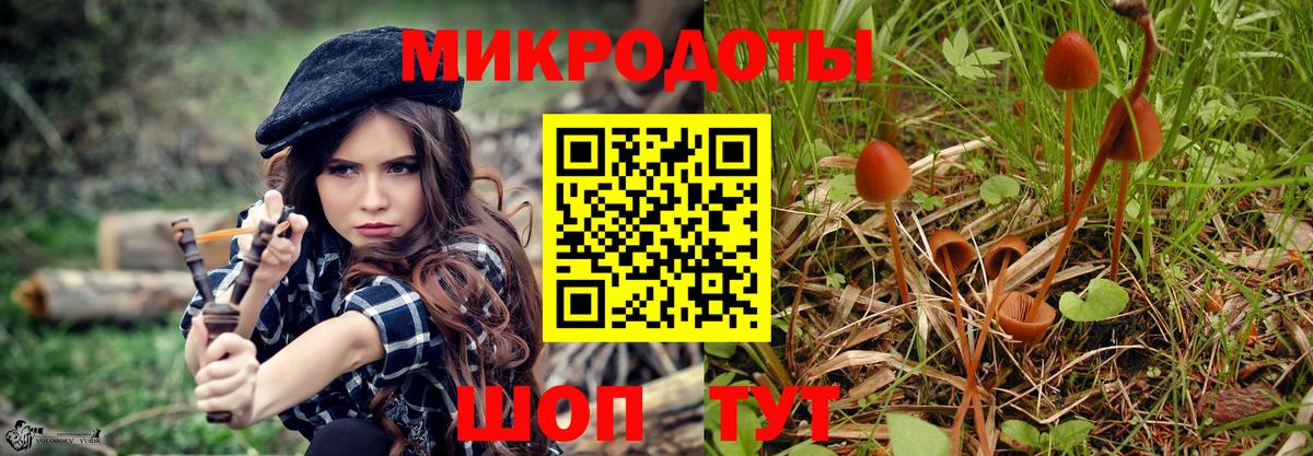 дарнет шоп  Галлюциногенные грибы Magic Shrooms  Вход с VPN  Тольятти 